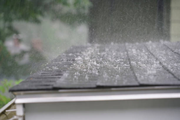 Best Gutter Installation and Repair  in Beechwood, MI